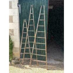 Diverse Franse brocante ladders en fruitladders