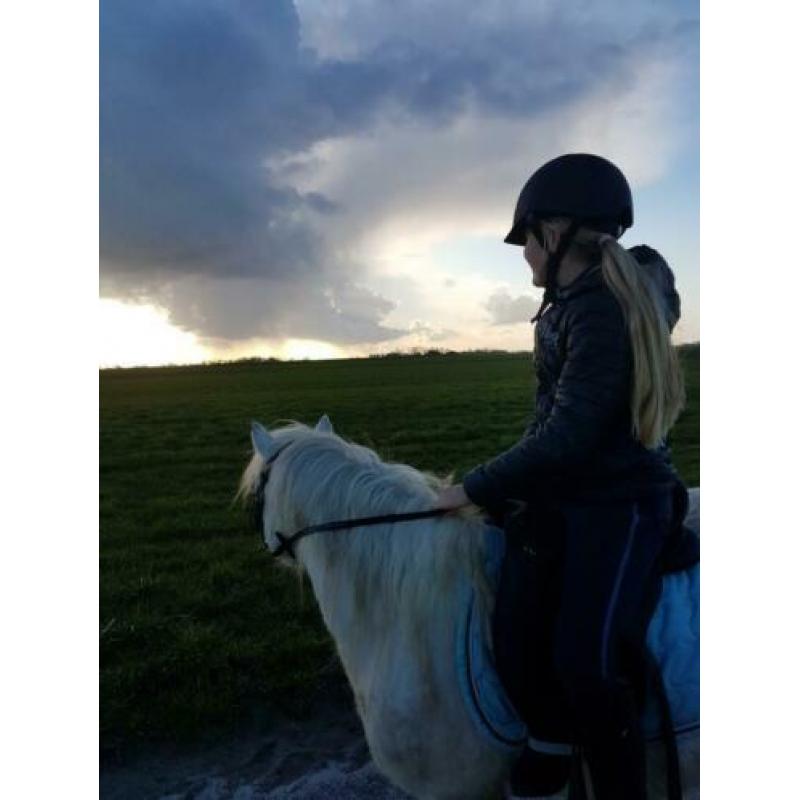 Twee super leuke, lieve kinderpony's