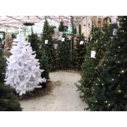 Kerstboom Groen 185 cm (showmodel) kerst 5