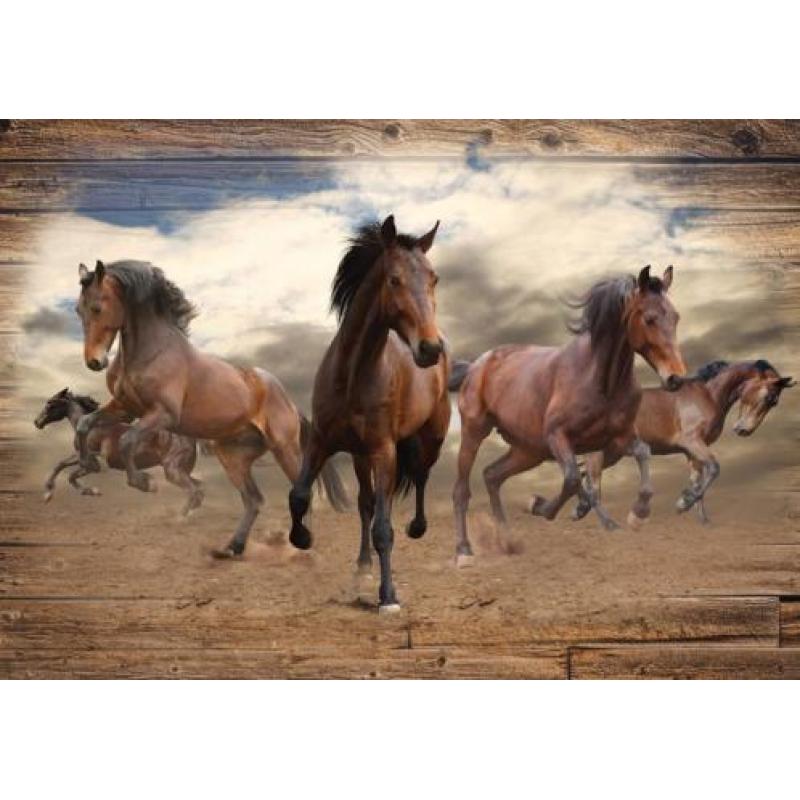 Paarden fotobehang XL - In galop Paarden behang Muurdeco4kid