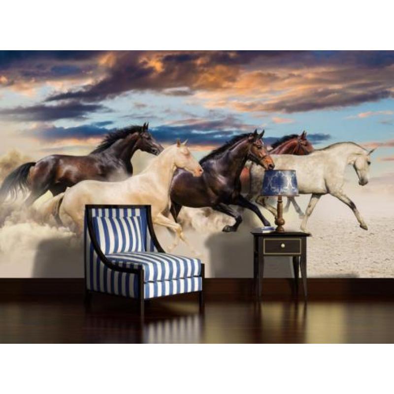 Paarden fotobehang XL - In galop Paarden behang Muurdeco4kid